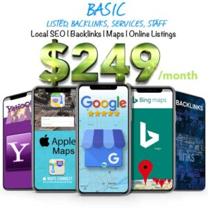 onlinelistings local seo basic wht